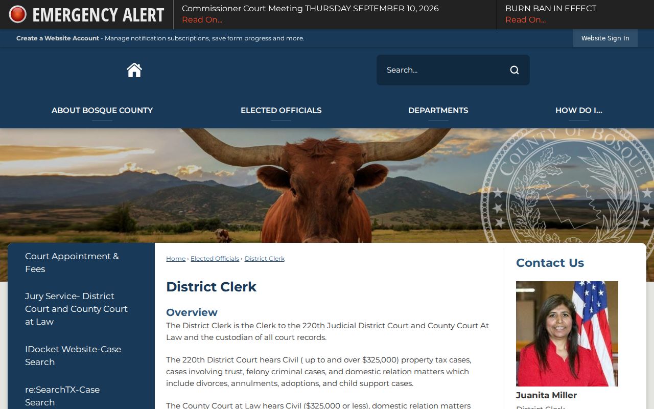 Bosque County District Clerk court docket links